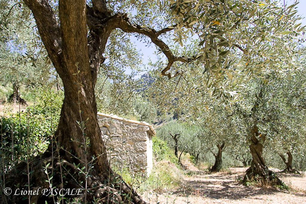 Gite Marius Mirabel-aux-Baronnies Экстерьер фото